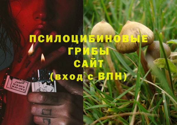 сатива Алексеевка
