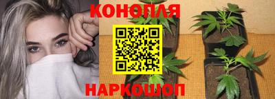 прущая мука Абакан