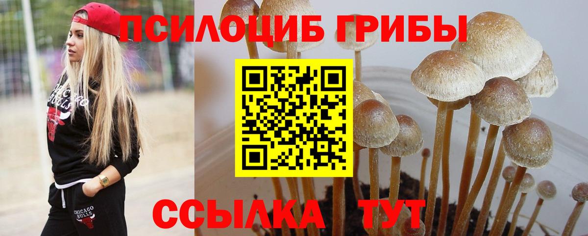 Псилоцибиновые грибы MAGIC MUSHROOMS Анжеро-Судженск