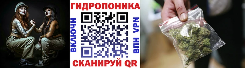 хочу наркоту  Анжеро-Судженск  Канабис Amnesia 
